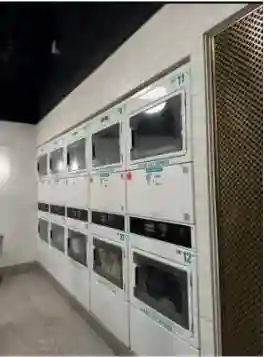 Luxury Furnished Room in Midtown