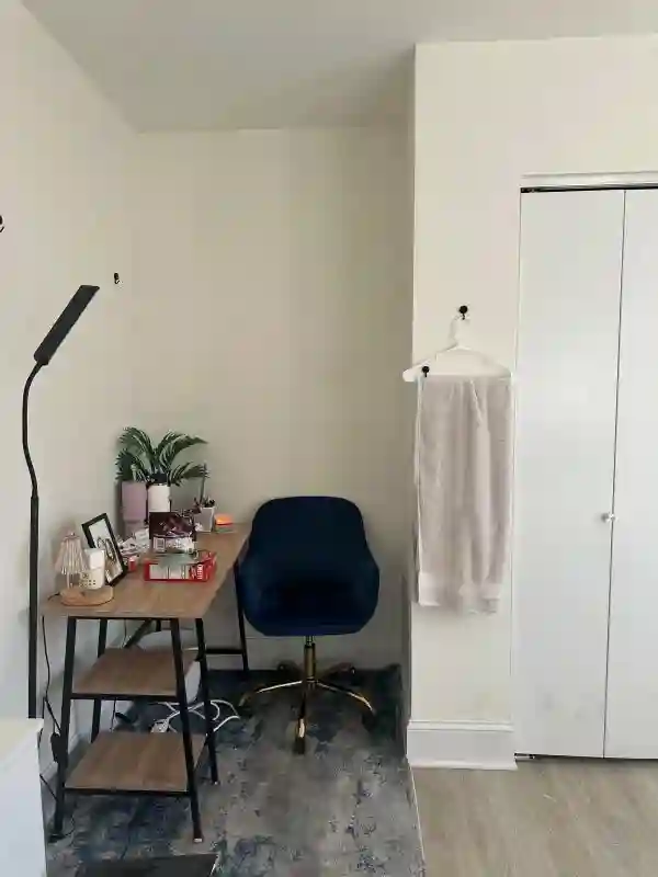 Luxury Furnished Room in Midtown