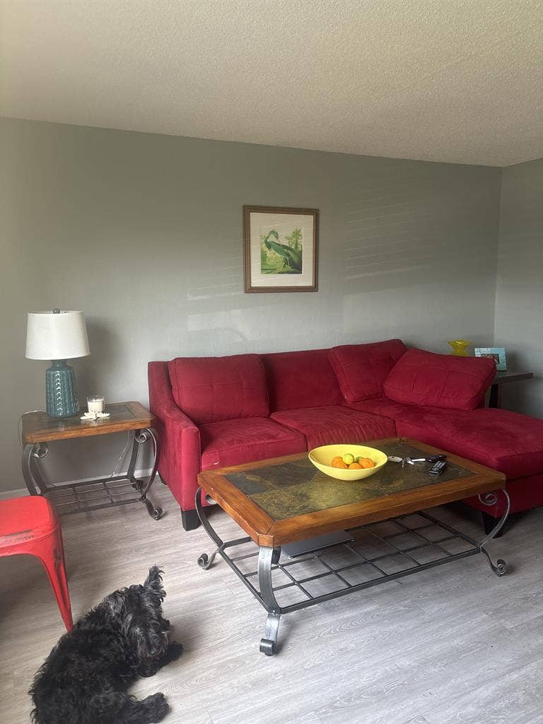 57 year old looking for roommate