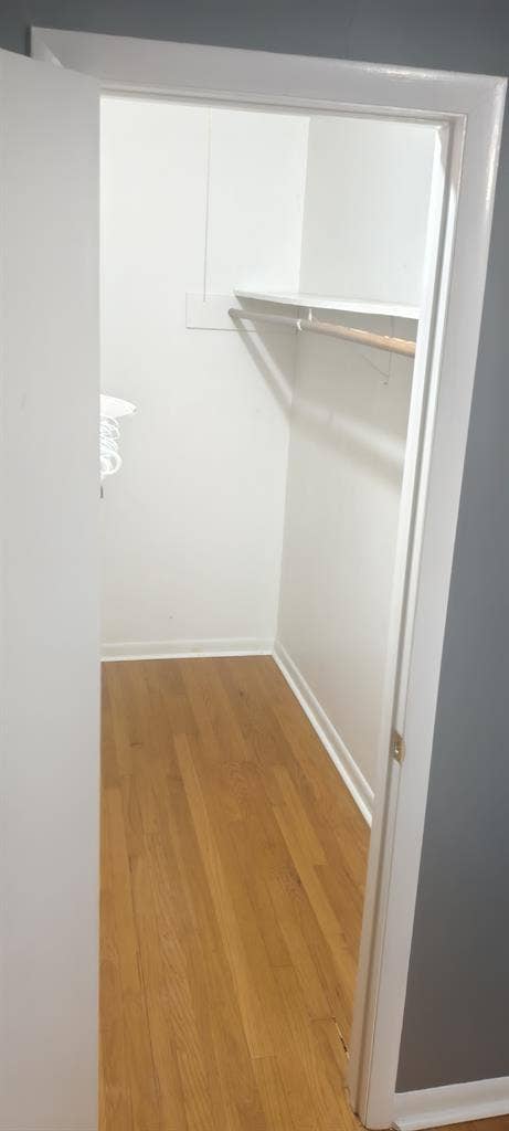 Spacious Room for Rent