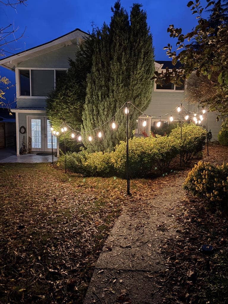 Large Rental Room in Shoreline