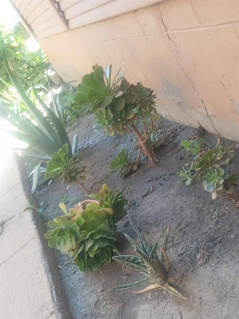 LGBT friendly home.