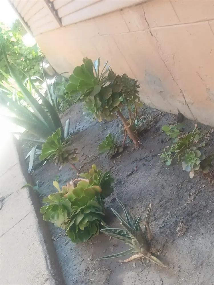 LGBT friendly home.