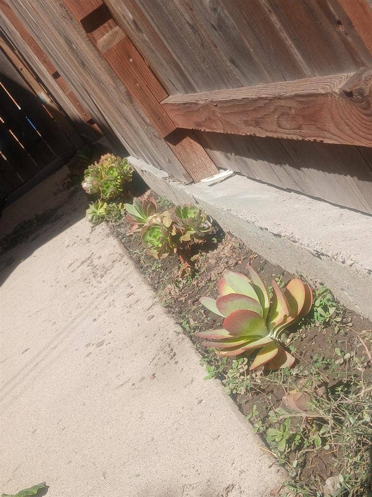 LGBT friendly home.