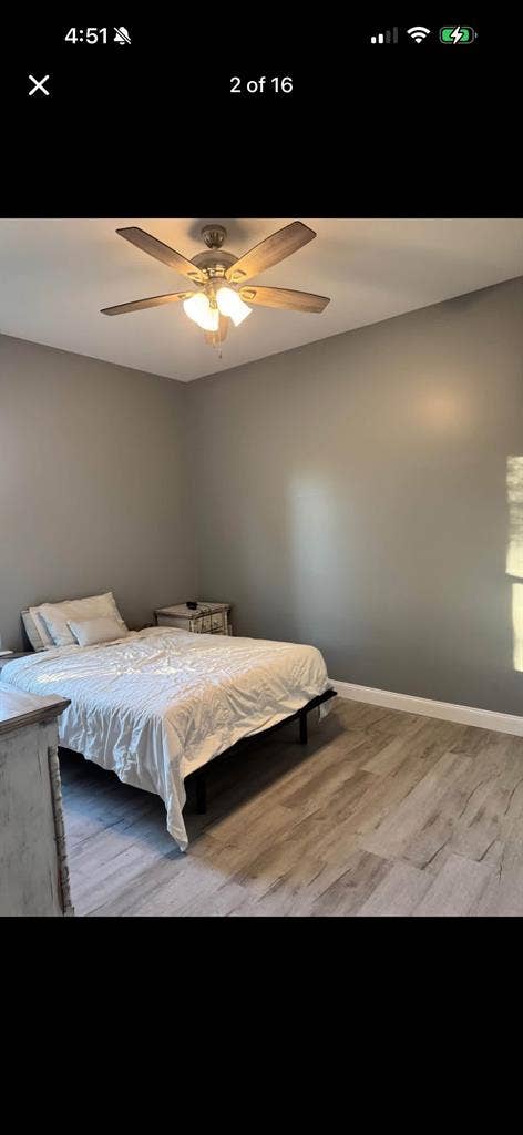 Roommate Needed