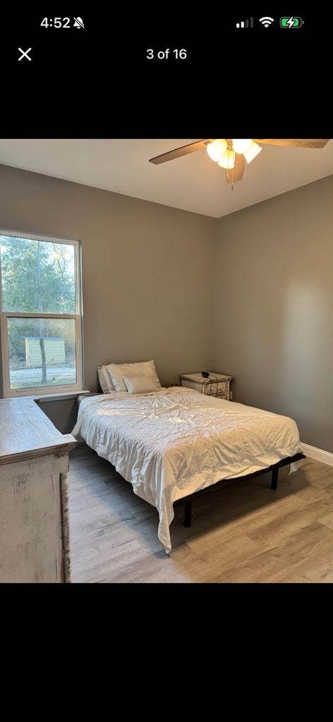 Roommate Needed