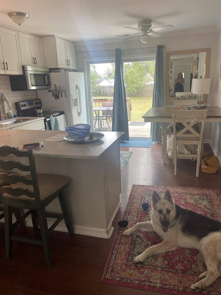 Roommate wanted