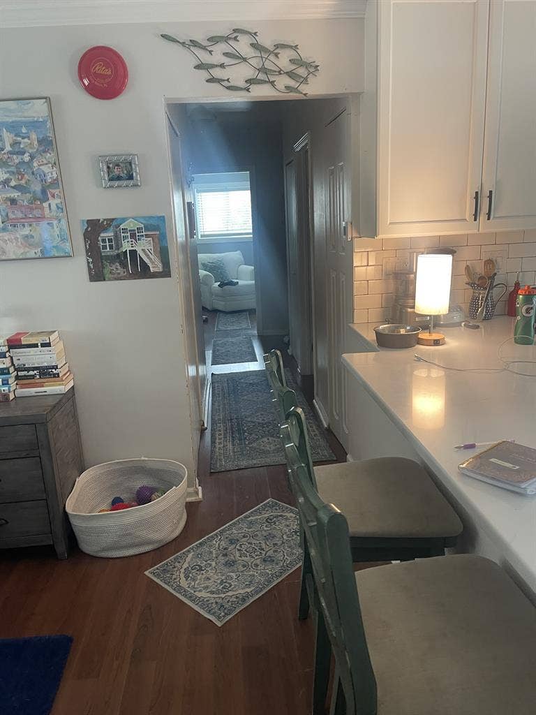 Roommate wanted