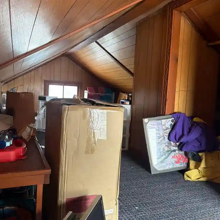 Looking for roommate