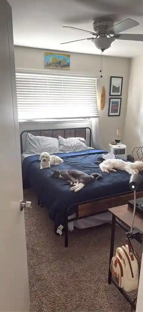 ROOM FOR RENT IN LOS GATOS