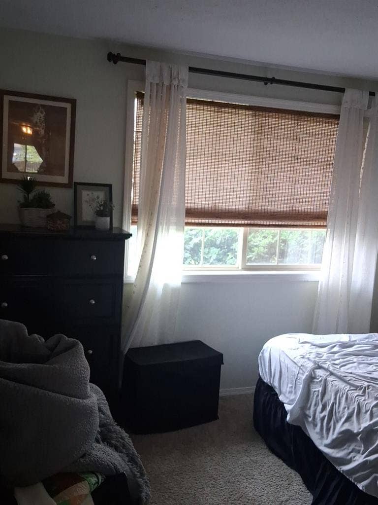 Looking for long term renter