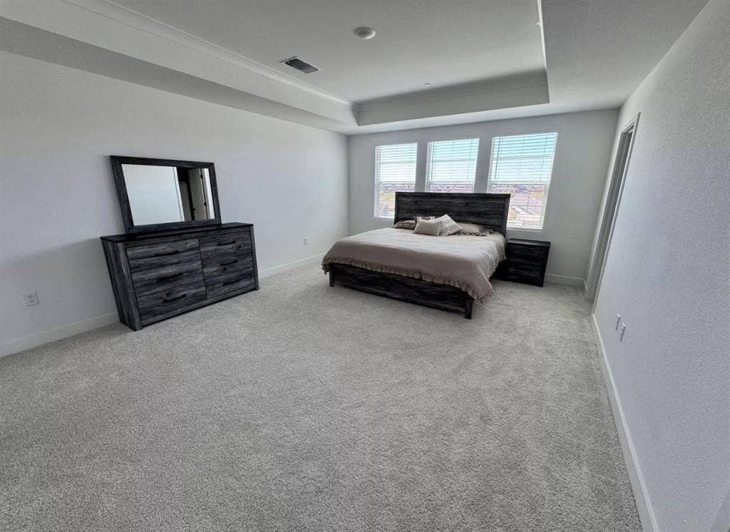 Master Bedroom Private Bathroom