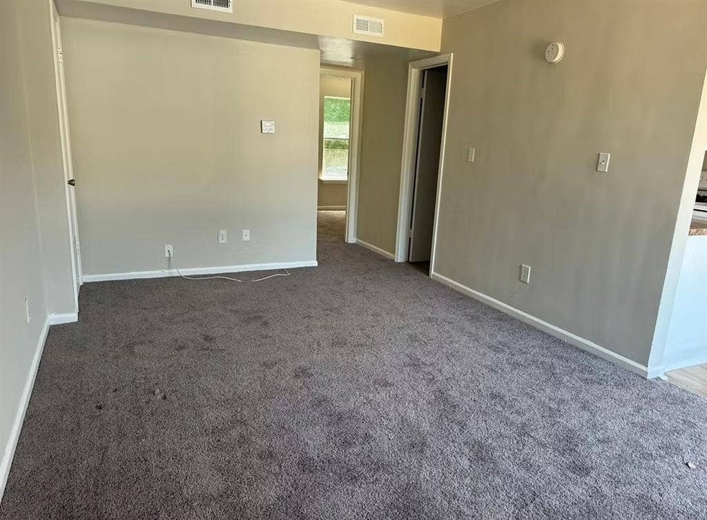 2bd 1b