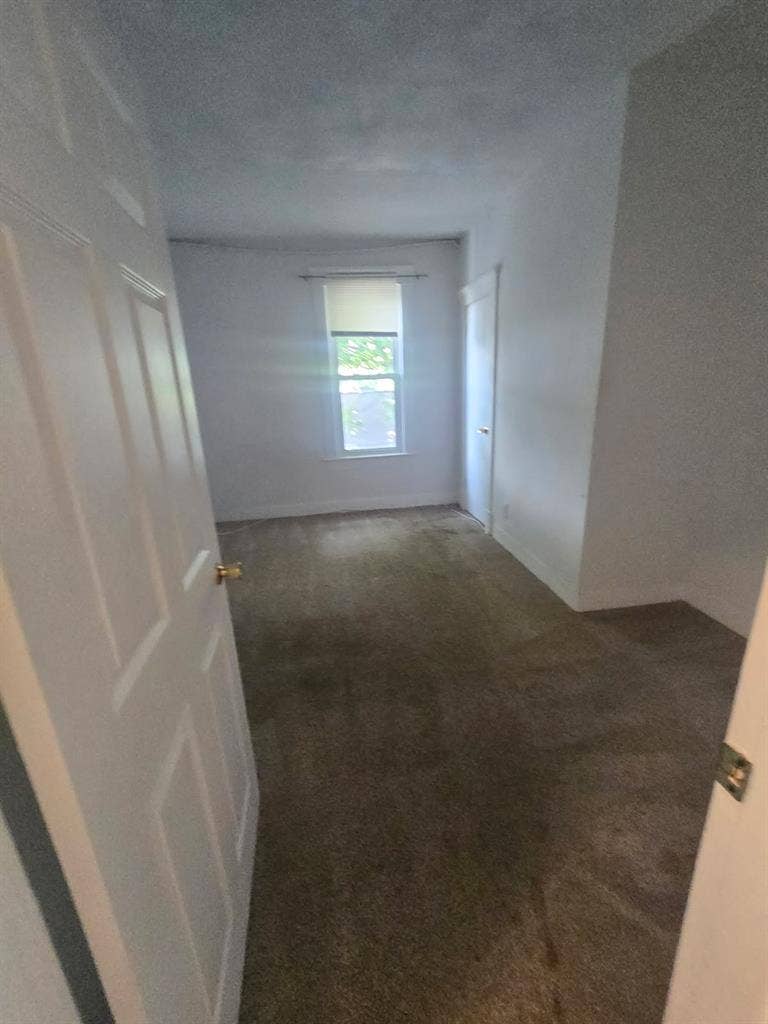 3bd