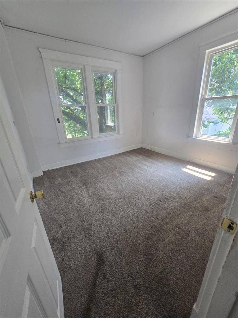 3bd