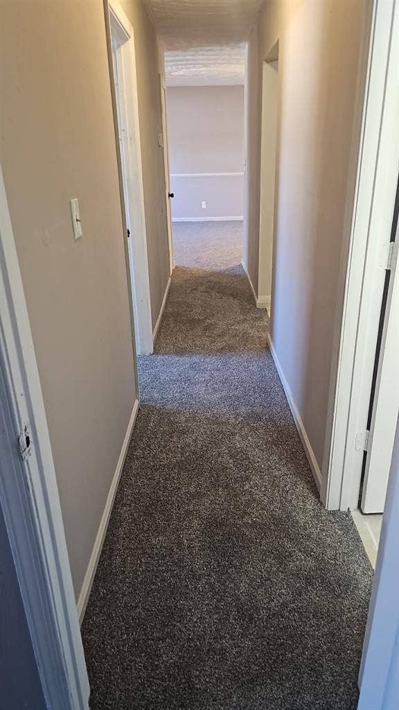 2bd