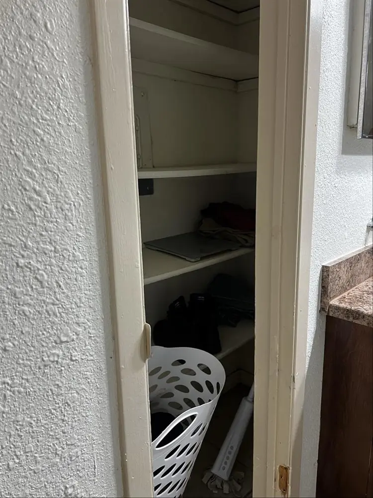 Roommate needed