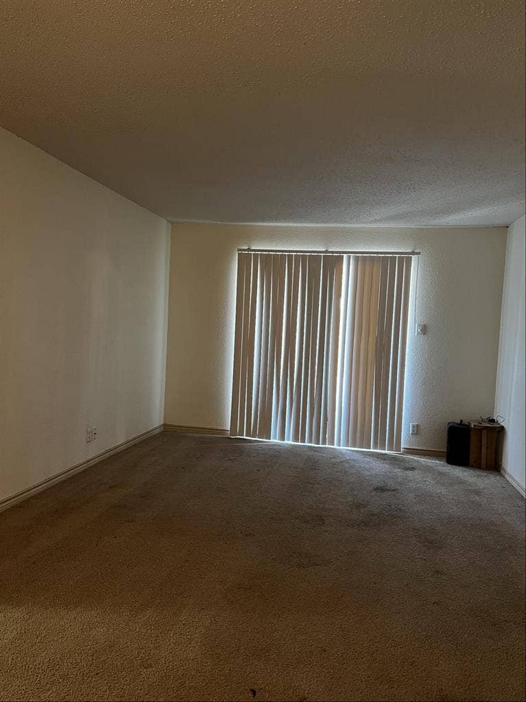 Roommate needed