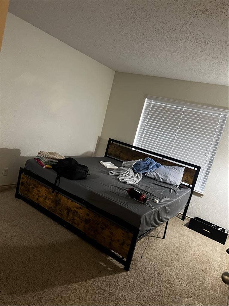 Roommate needed