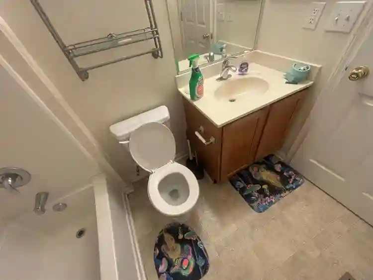 3 BR in Raleigh