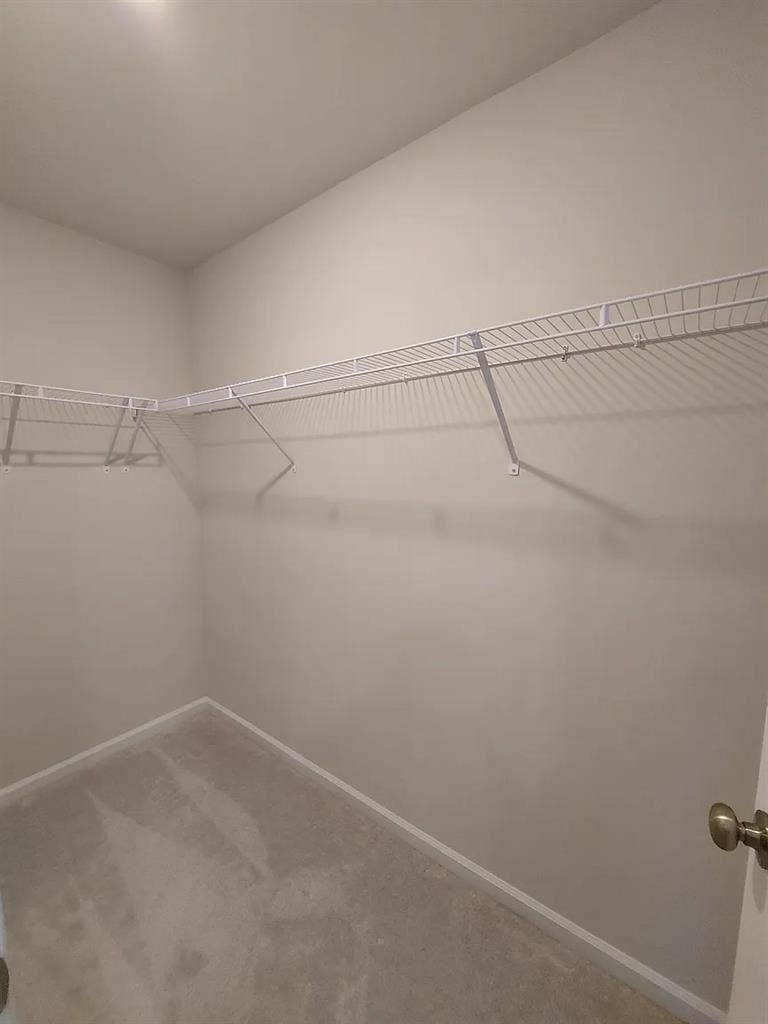 3 BR in Raleigh