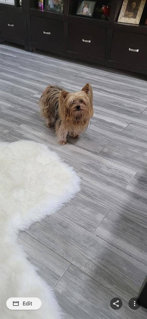 Owners suite, pool home asap male!