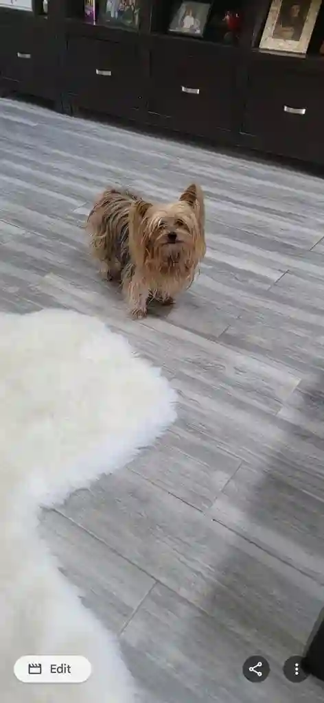 Owners suite, pool h0me535/192male!