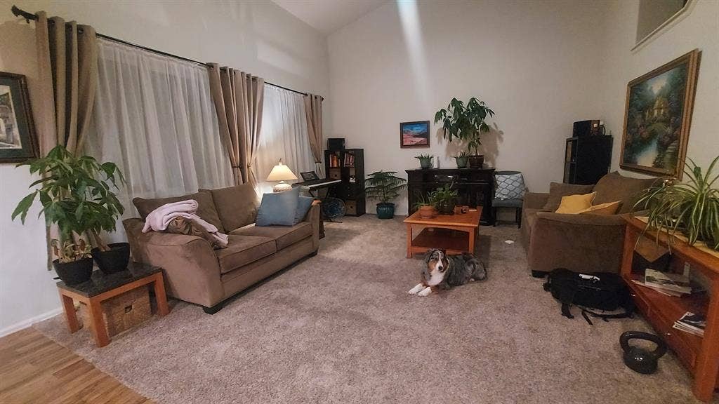Clean Loveland Room – VIBE CITY!