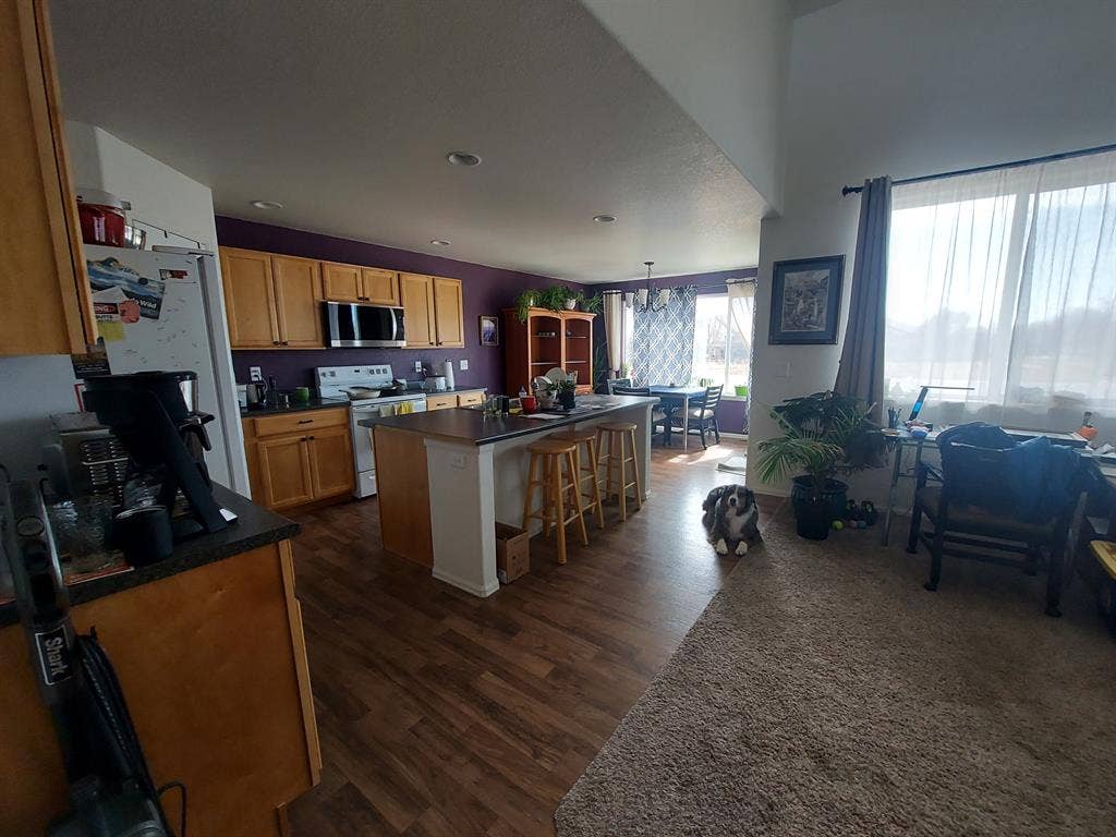 Clean Loveland Room – VIBE CITY!