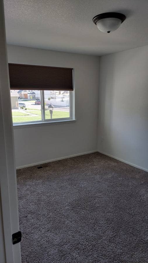 Clean Loveland Room – VIBE CITY!