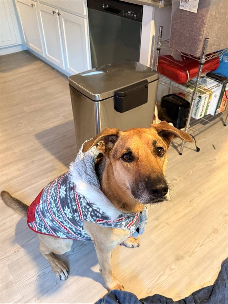 Looking for Roommate in Portland TX