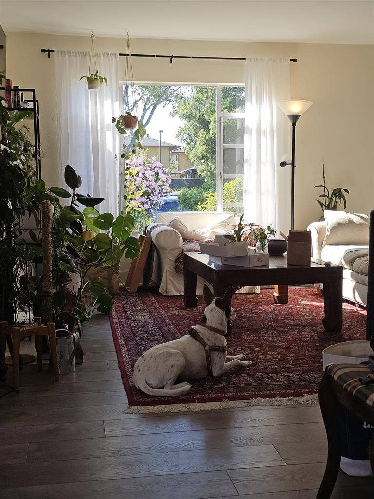 Big, Bright Room in RWC