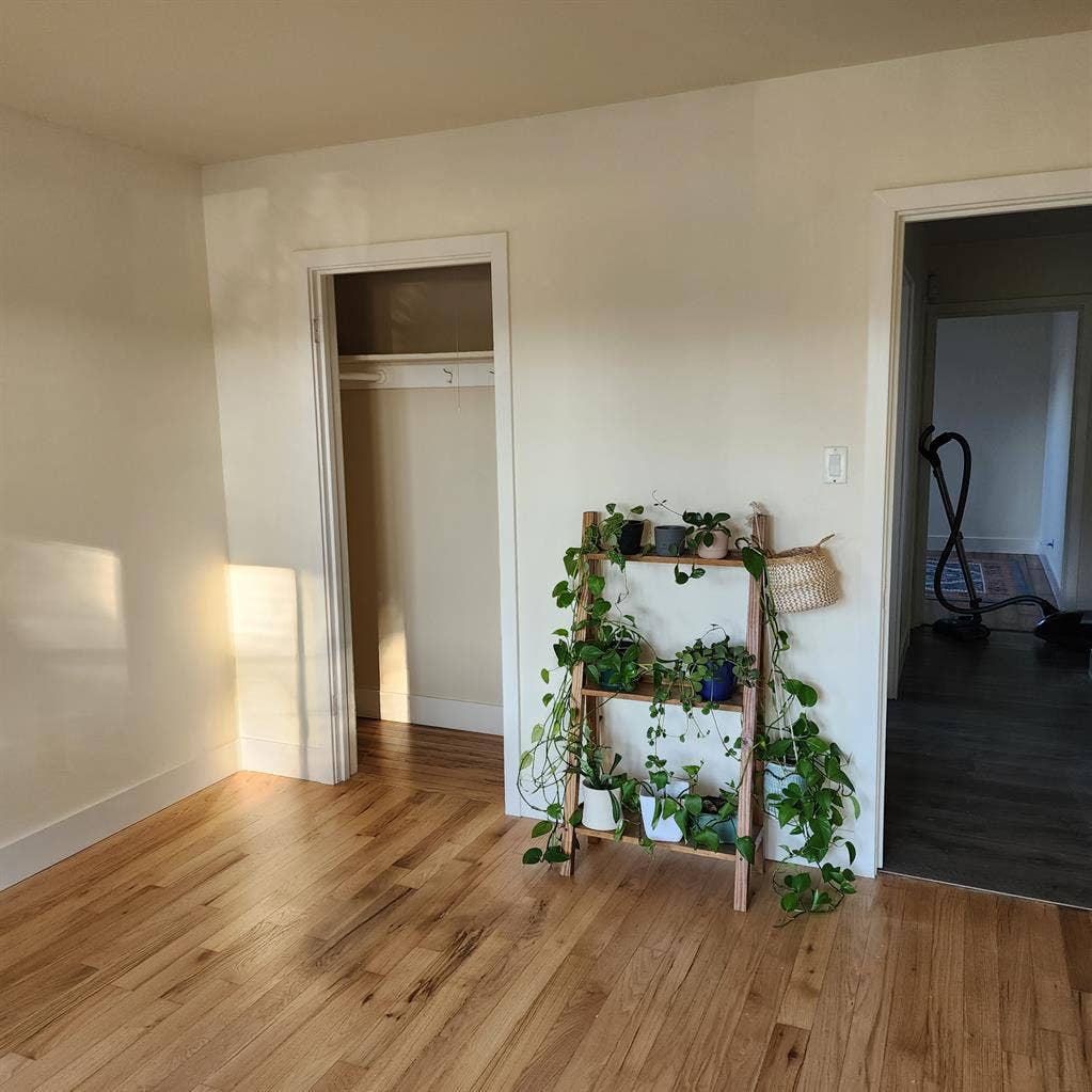 Big, Bright Room in RWC