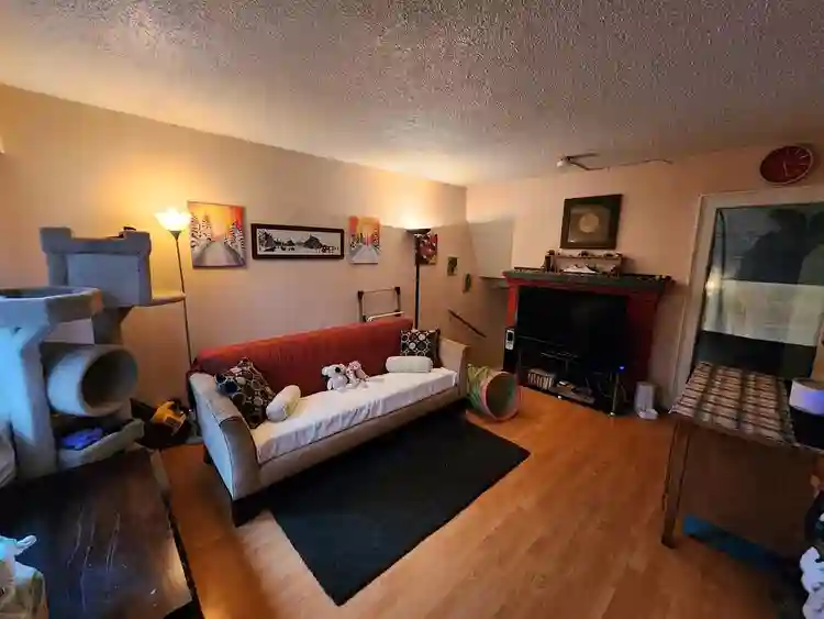 Grnd Flr Bdrm for 2 Months SUBLET