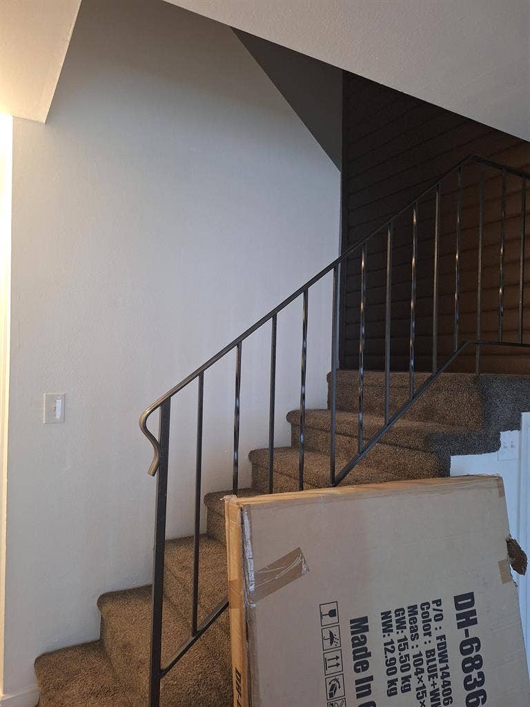 Looking for a roommate