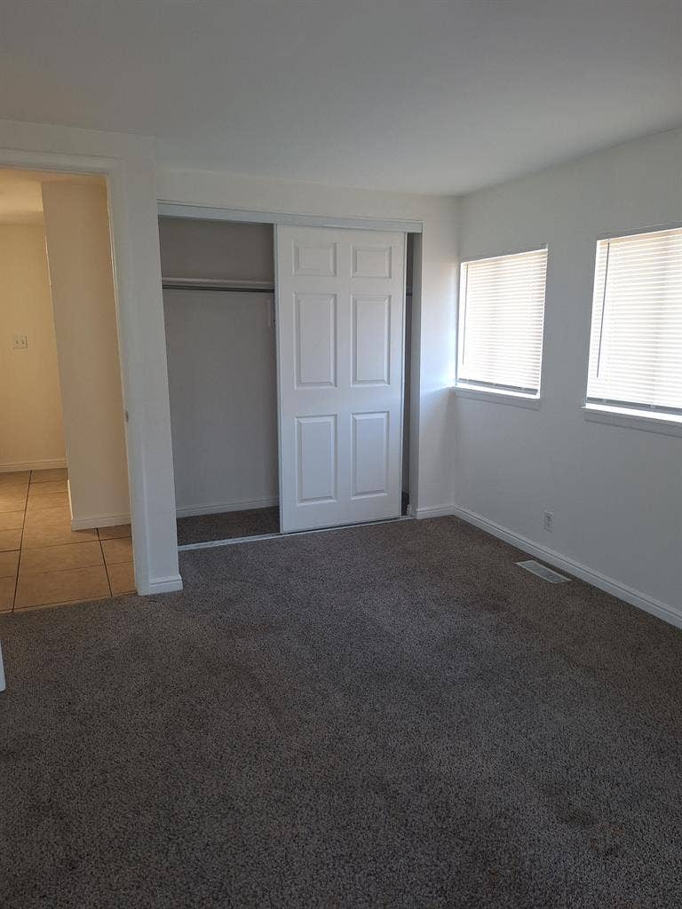 Looking for a roommate