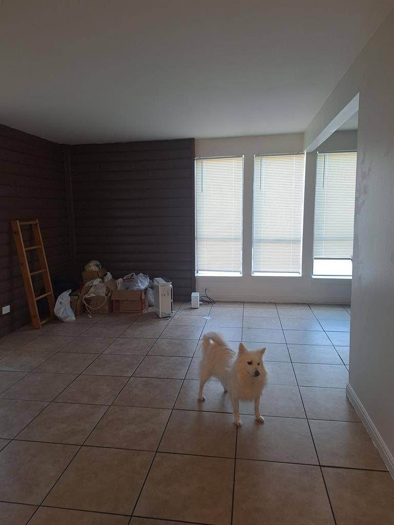 Looking for a roommate