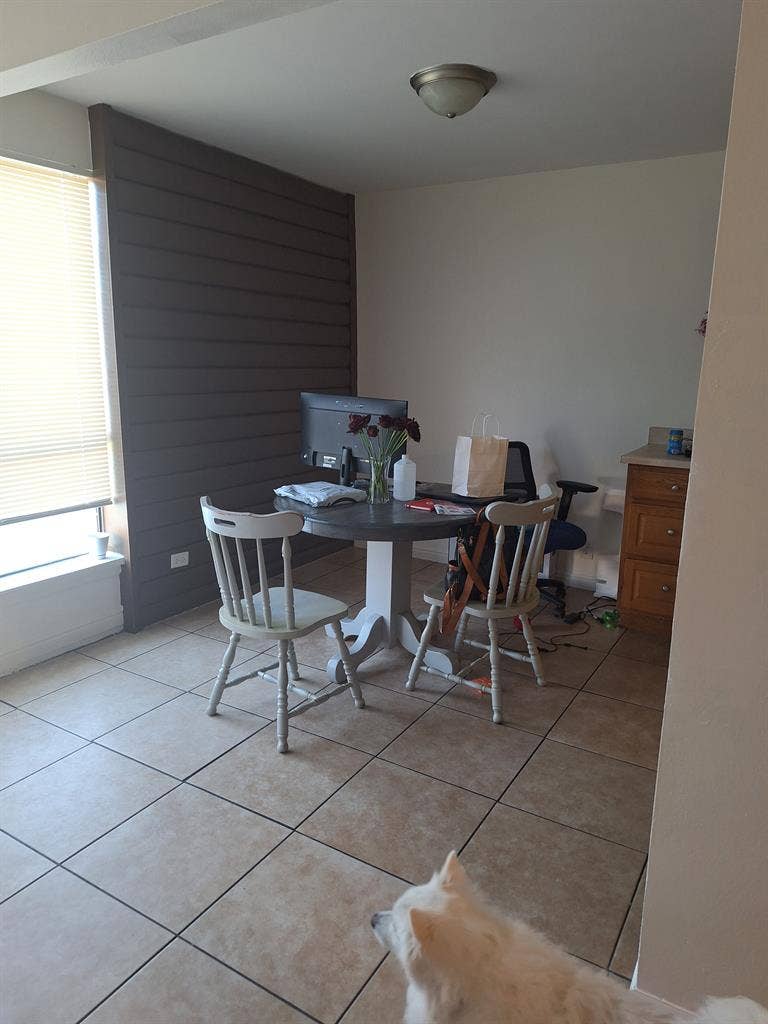 Looking for a roommate