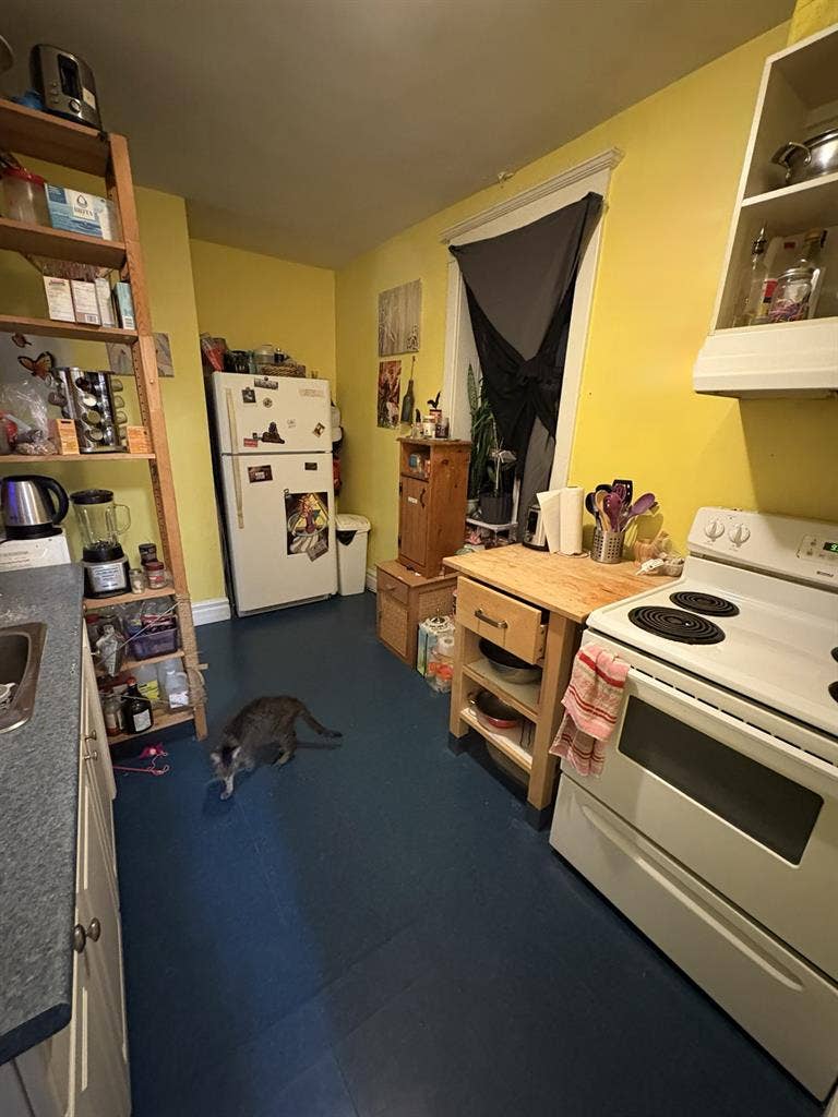 Looking for a Roommate
