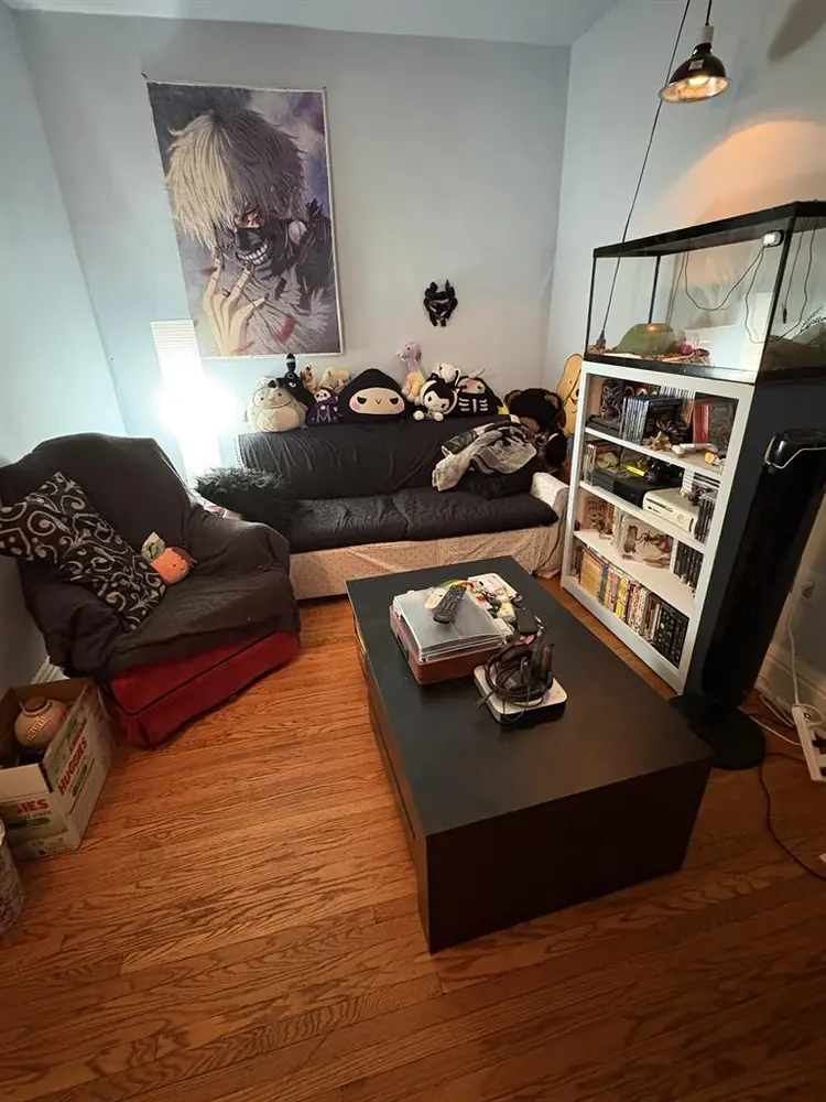 Looking for a Roommate
