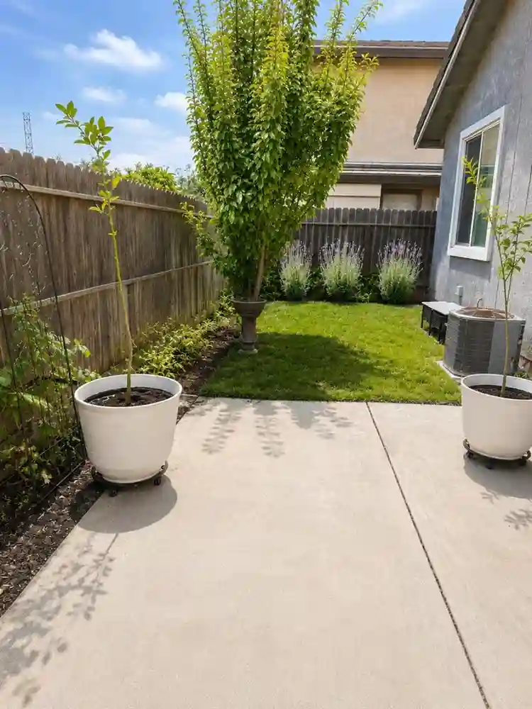 4B2B near Airport, Arden, Downtown