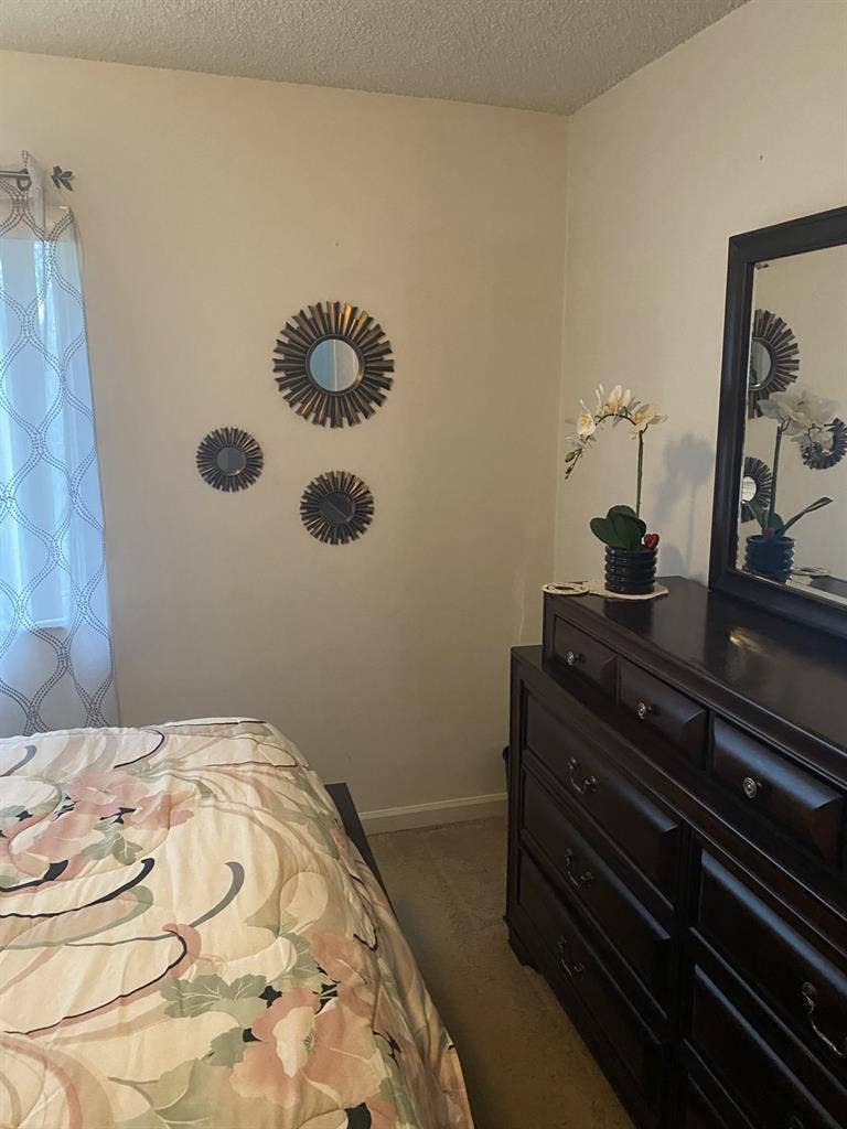 Roomate to share home