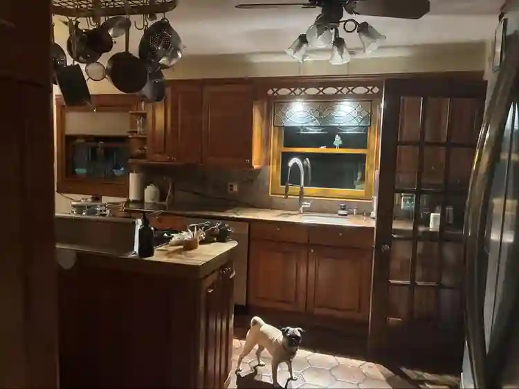 Best, most comfortable bed.