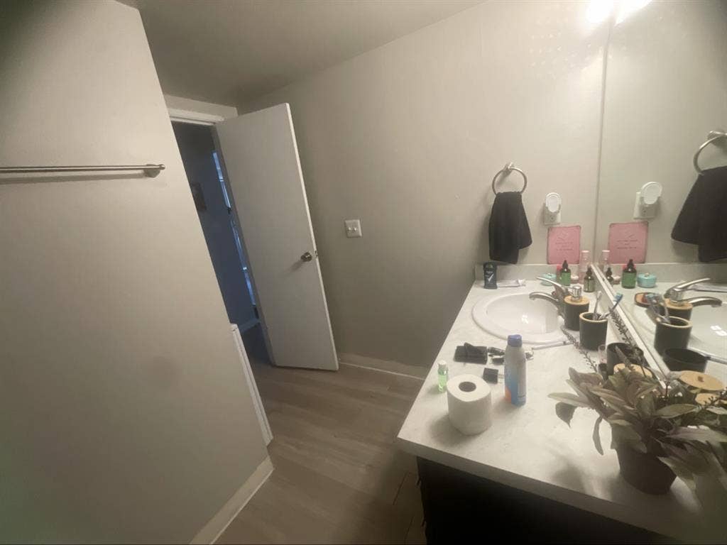 In need of a cool roommate