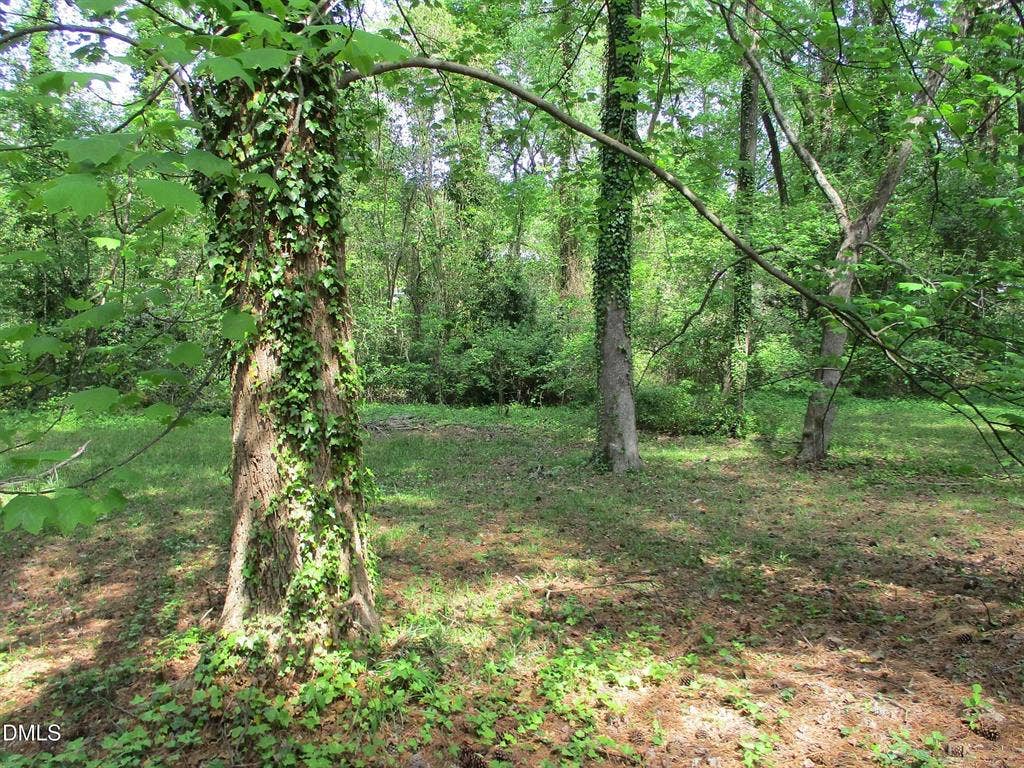 3 BR in Raleigh