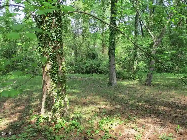 3 BR in Raleigh