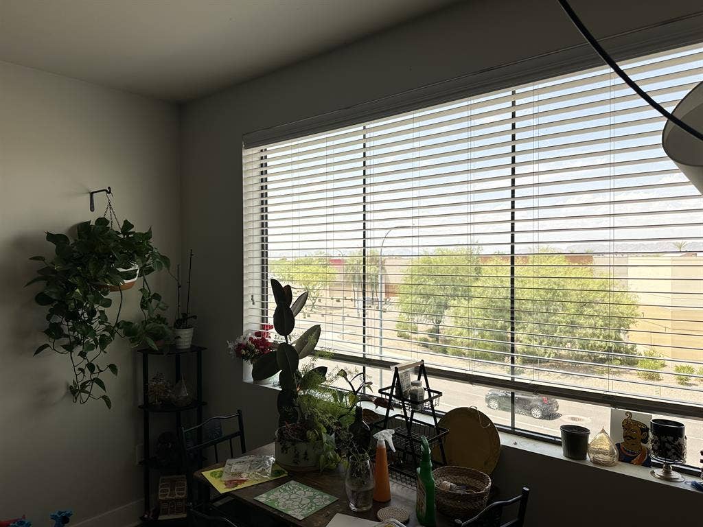 Sublease- 2B2B near Chandler mall