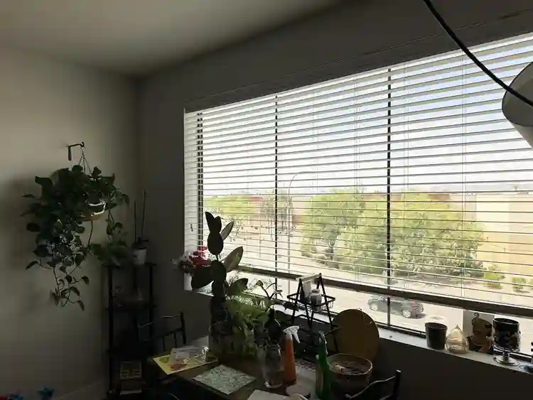 Sublease- 2B2B near Chandler mall