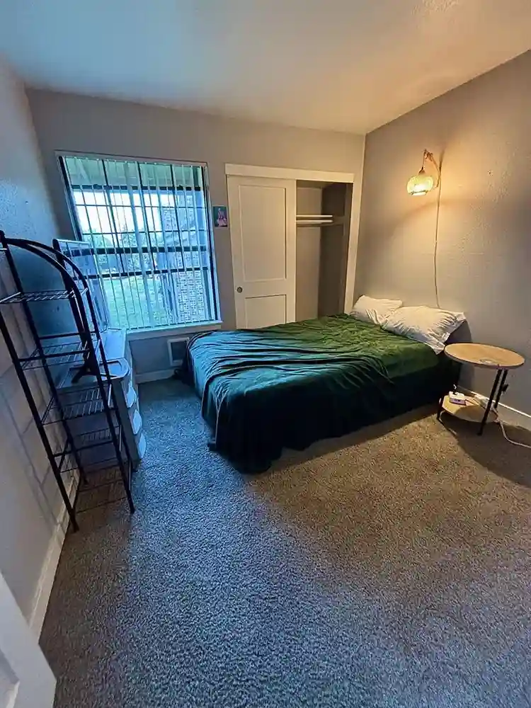 Seeking Roomie!