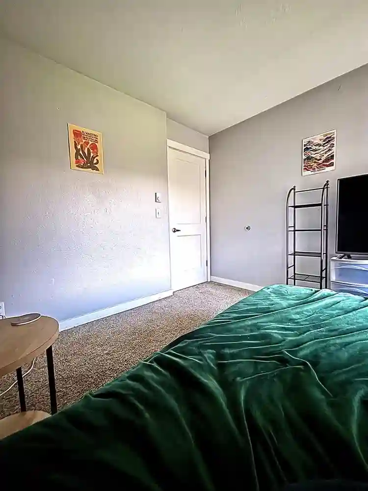Seeking Roomie!